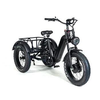 Трехколесный велосипед с электроприводом 20 дюймов * 4,0 /Трехколесный велосипед с дисковым тормозом Fat Wheel /Электрический велосипед с двигателем 48V500W